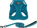 Best Pet Supplies Voyager Step-in Air All Weather Mesh Harness and Reflective Dog 5ft Leash Combo with Neoprene Handle, for Small, Medium and Large Breed Puppies - Turquoise, Small