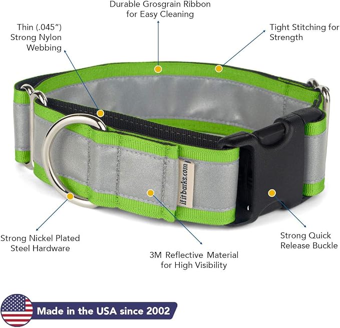 If It Barks - 1.5" Reflective Martingale Collar with Quick Snap Buckle for Dogs - Adjustable - Made in USA - Strong, Durable, and Comfy - Ideal for Training - Fits Most Breeds - Large, Apple Green