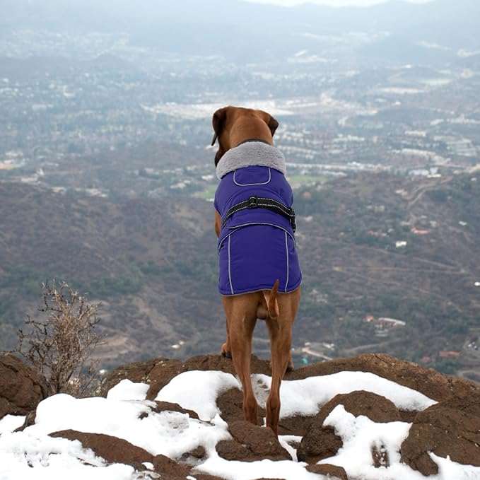 Lelepet Dog Coat Waterproof Dog Jacket Fleece Vest with Adjustable Buckle | Reflective Pet Winter Coat Turtleneck Snowsuit Windproof Cold Weather Coats for Small Medium Large Dogs,Leash Hole,Blue, XXL