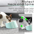 SuperDesign Mess Free 15° Slanted Bowl for Dogs and Cats, Tilted Angle Bulldog Bowl Dog Feeder, Non-Skid & Non-Spill, Easier to Reach Food M/1 Cup Teal