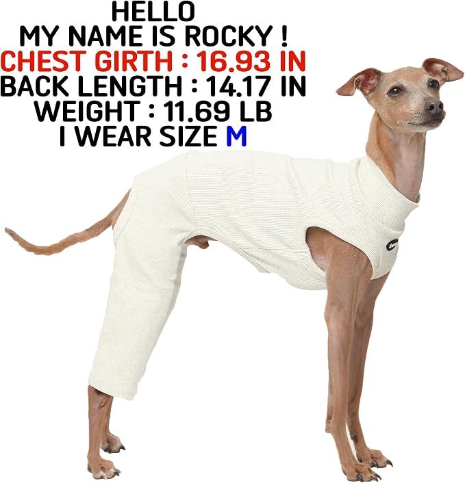D Doggy Star Italian Greyhound Clothes High-Stretch Sleeveless Onesie for Styling (3XL,Coordi Otameal)
