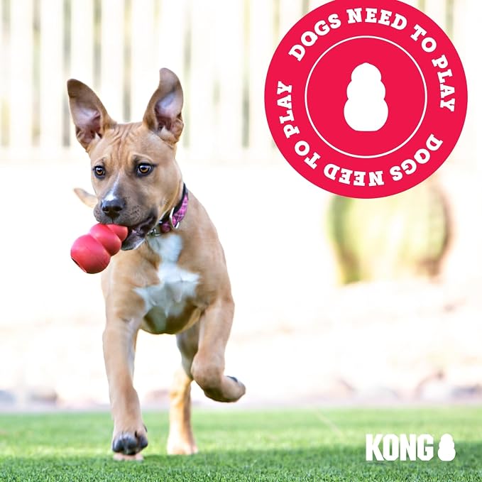 KONG Senior - Dog Toy with Gentle, Natural Rubber - Durable Dog Toy for Older Dogs - Use Treats with Stuffable Chew Toy - Treat Toy for Chewing & Fetching - for Large Dogs