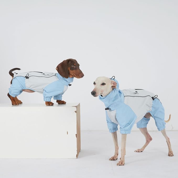 Dachshund Dog Raincoat with Legs, Waterproof Full Body Jacket, Hooded Outdoor Windbreaker for Small & Medium Dogs, Mini Dachshund Puppy Coat (Blue,XS(6-9lbs))