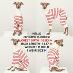 D Doggy Star Italian Greyhound Clothes Soft Stretchy Onesie Refined Stripe Outfit Whippet for Dog Coat (S,Onsi Red Str)