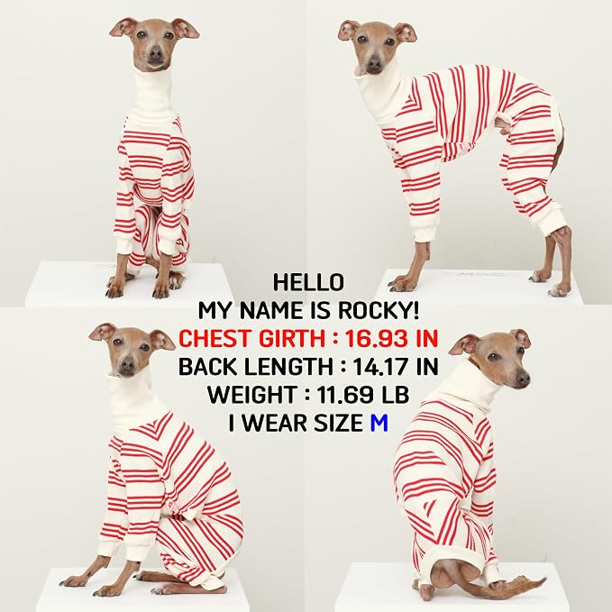 D Doggy Star Italian Greyhound Clothes Soft Stretchy Onesie Refined Stripe Outfit Whippet for Dog Coat (2XL,Onsi Red Str)