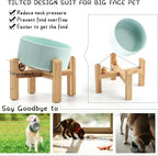 Petygooing Raised/Elevated 15°Slanted Ceramic Dog Bowl for Small Breeds,Tilted Anti Slip Pet Bowl,Food Water Dish with Stand for Cats and Small Dogs Puppy 13.5 OZ (5.1In / 1.7 Cups) Blue Sky