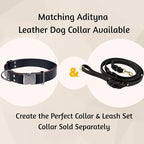 ADITYNA Leather Dog Leash with Traffic Handle, 6ft, Medium & Small Dogs | Heavy-duty braided leather leash, 5/8" width x 6ft, Double handle for extra control, ideal for training & busy sidewalks.