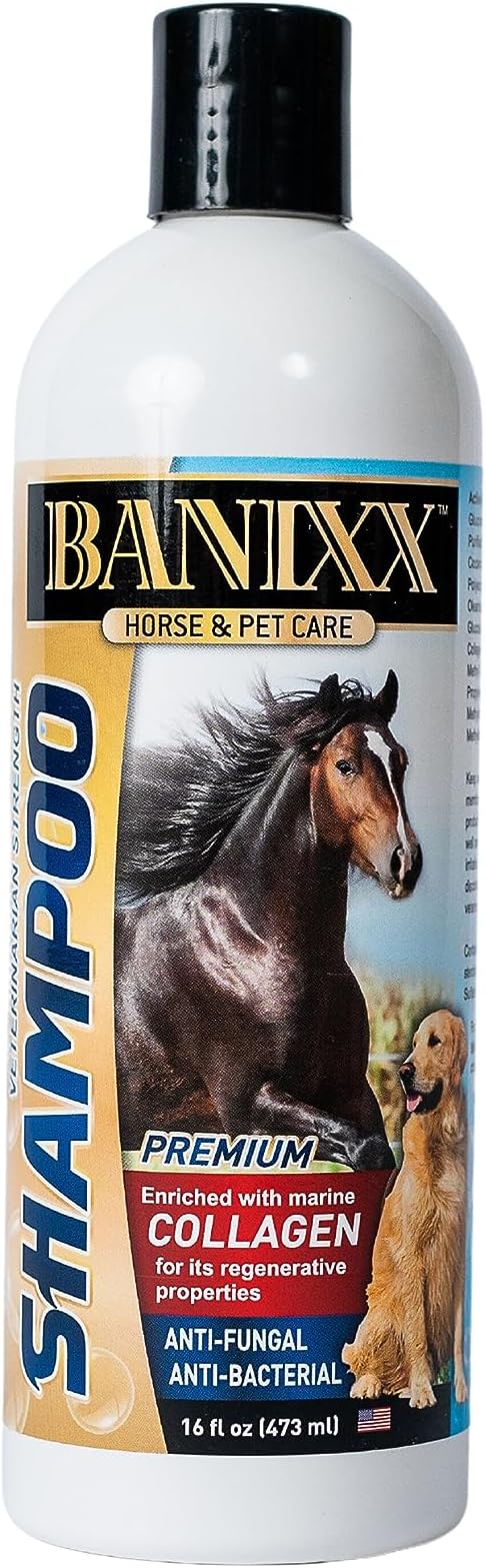 Medicated Shampoo--Soap-Free --Incredible Marine Collagen—Pet skin Yeast Infections, Ringworm, Rain Rot, Horse Scratches, Dermatitis, Itchy Skin