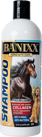 Medicated Shampoo--Soap-Free --Incredible Marine Collagen—Pet skin Yeast Infections, Ringworm, Rain Rot, Horse Scratches, Dermatitis, Itchy Skin