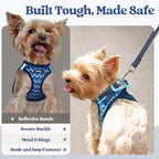 rabbitgoo Dog Harness Small Sized and Leash Set, Step-in Puppy Pet Vest | Light, Soft, Breathable Air Mesh, Easy on and Remove with Hook & Loop, Secure Reflective for Walking, Blue Zigzag M