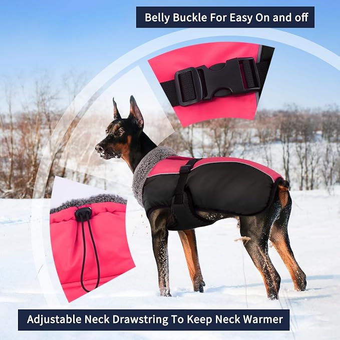 IECOii Extra Warm Dog Coat - Reflective, Adjustable Jacket with Buckle & Turtleneck for Cold Weather - Soft Winter Coat for Small to Extra Large Dogs