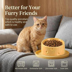 Cat Food Bowl with Food Mat, Ceramic Raised and Tilted Water Bowl, Anti Vomiting and Protection, Cat or Small Dog Feeding Station, Dishwasher and Microwave Safe