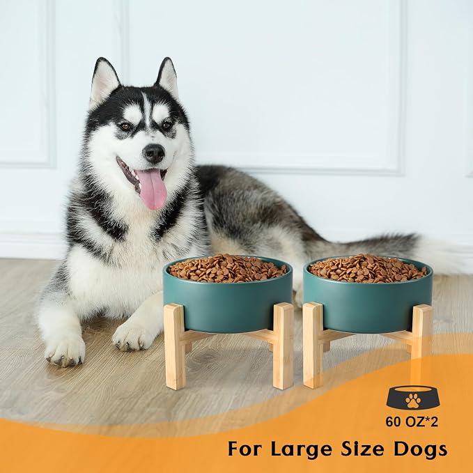 SPUNKYJUNKY Ceramic Elevated Dog Bowls 2 Pack - 8.3inch Raised Dog Bowls with Non-Slip Wooden Stand for Large Dogs Dishwasher Safe(Green,60OZ*2)