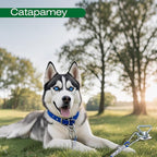 Catapamey Dog Tie Out Cable and Stake,360° Swivel Dog Run Anchor -with 45FT Heavy Duty Cable,Runner for Yard- for up to 150 lbs- for Yard Outdoor Camping