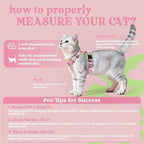 rabbitgoo Cat Harness and Leash Set, Escape Proof Vest, Pink & Light Green | Soft Breathable Mesh, Easy Adjustable Fit, Snap Buckles, Sturdy Clip, Reflective Strips, for Average Cats Walks, S