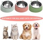 7 Pcs Raised Cat Food Bowl Stainless Steel Tilted Feeding for Little Cat Raised 15° Elevated Pet Dish for Kitten Puppy Anti-Slip Detachable Pet Stainless Steel Slope Base Food Bowl with 5 Food Scoop