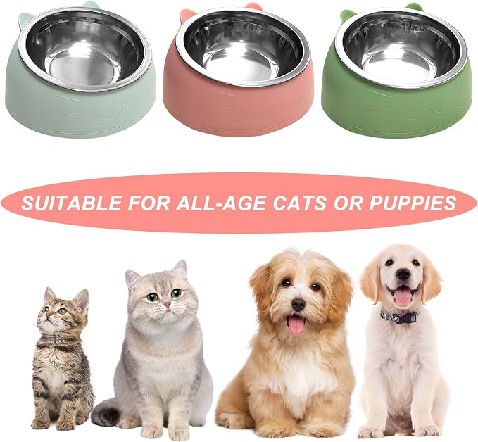 7 Pcs Raised Cat Food Bowl Stainless Steel Tilted Feeding for Little Cat Raised 15° Elevated Pet Dish for Kitten Puppy Anti-Slip Detachable Pet Stainless Steel Slope Base Food Bowl with 5 Food Scoop