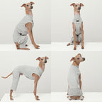 D Doggy Star Italian Greyhound Clothes High-Stretch Sleeveless Onesie for Styling (2XL,Coordi Grey)