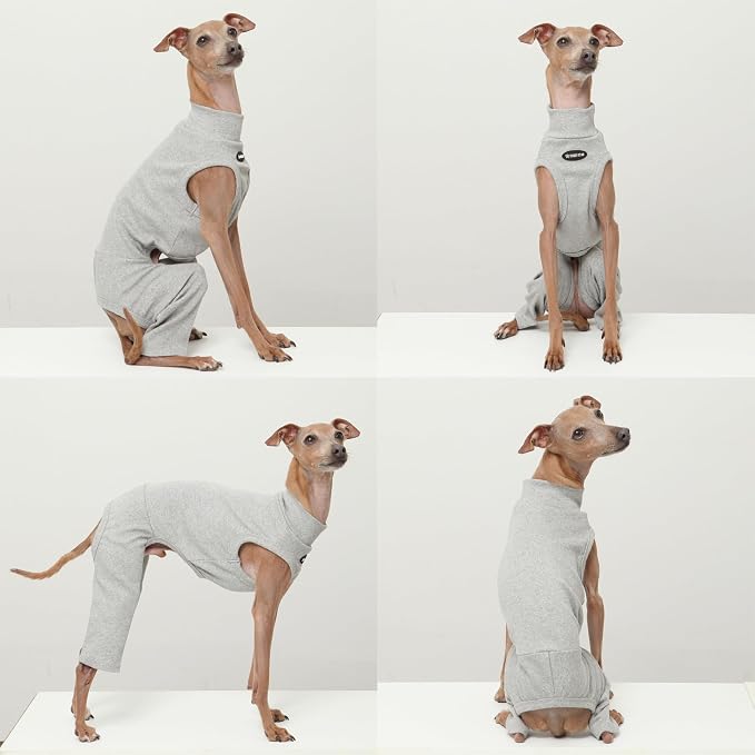 D Doggy Star Italian Greyhound Clothes High-Stretch Sleeveless Onesie for Styling (M,Coordi Grey)
