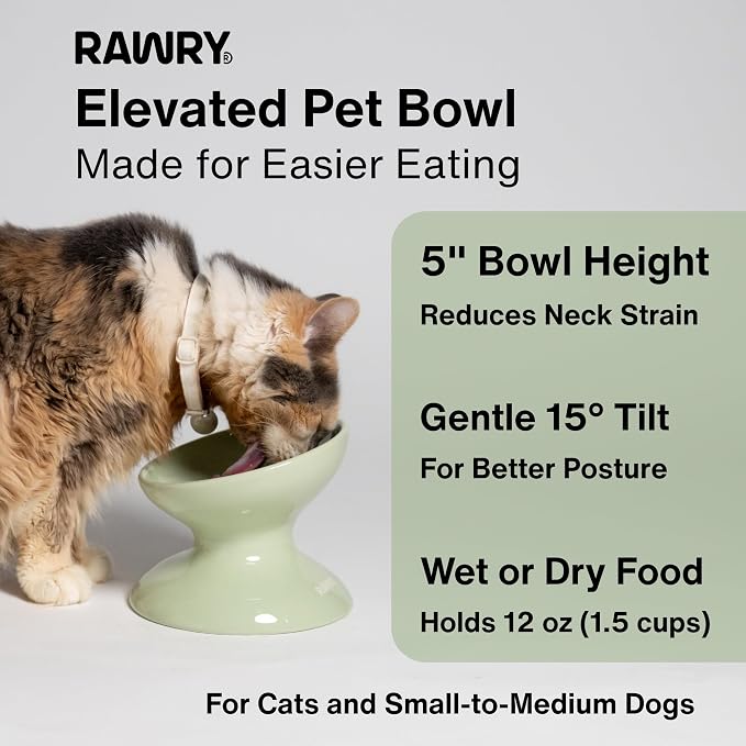 Raised Cat Food Bowl, Tilted Bowl for Cats, Dogs, 12 oz, Seafoam