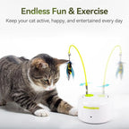 ALL FOR PAWS Interactive Cat Toys, Motion Activated Feather Cat Toy, Automatic Fluttering Bug Enrichment Toy for Kittens, Includes One Insect Replacement