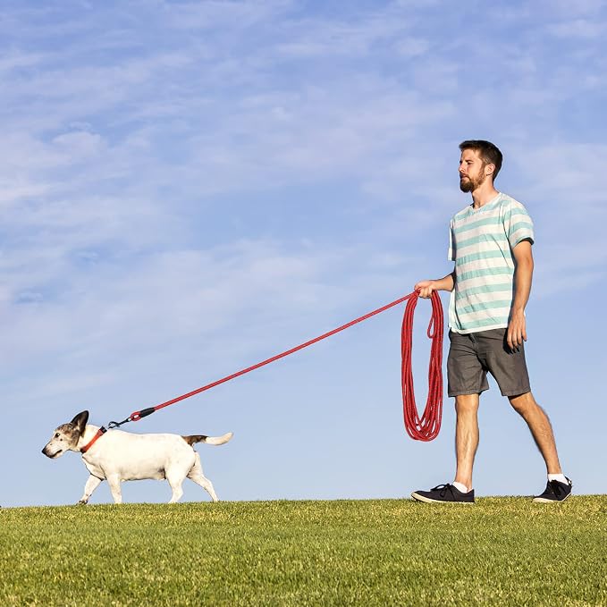 Long Dog Leash for Training 20Ft-Reflective Nylon Rope with Swivel Hook-Recall Agility Lead for Large Small Medium Dogs Outside Walking Hiking-Red