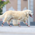 SCENEREAL Anti Slip Dog Sock to Prevent Licking Paws for Hardwood Floors, Boots & Paw Protector Shoes for Hot/Cold Pavement with Grippers, Double Sides Grips for Small Medium Large Senior Dogs