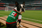 Parisian Pet Dog Mexico Jersey - Breathable Mesh Puppy Football Jersey - Lightweight Stretch Sporty Dog Mexican outfit - Summer Shirts for Medium Dogs - Soccer Jersey for Dogs - Sportswear Pet Clothes