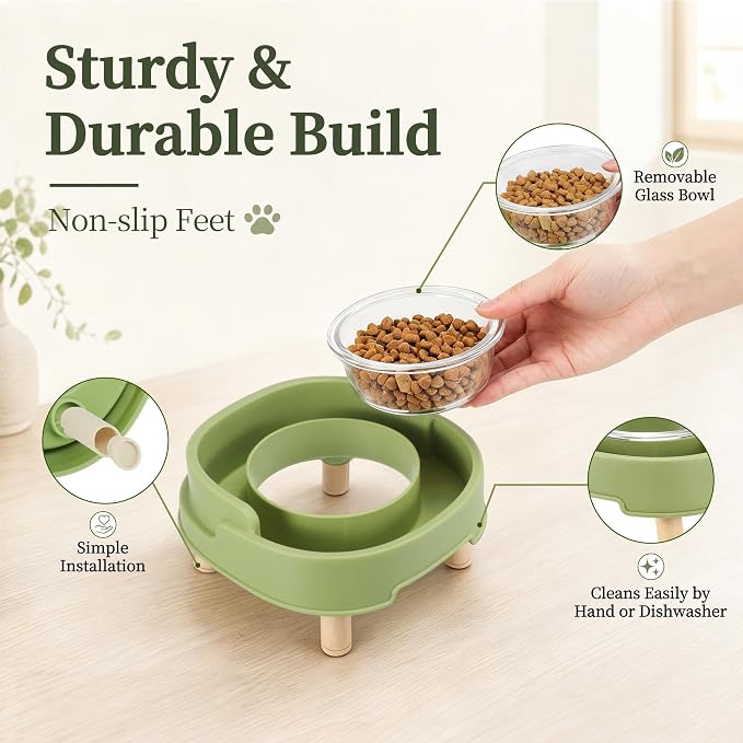 Ant Proof Cat Food Bowl, Elevated Cat Feeding Bowl, Green, 2pcs | Prevents Ants from Entering and Reduces Neck Stress, Non-Slip Elevated Cat Feeding Bowl