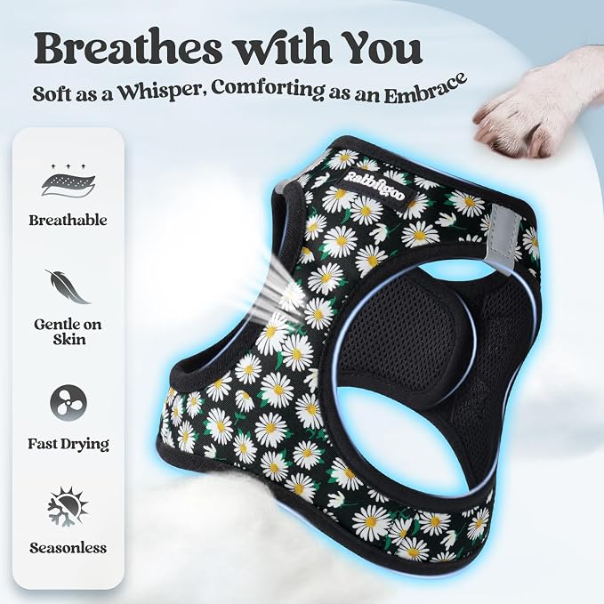 rabbitgoo Dog Harness Medium Sized and Leash Set, Step-in Puppy Pet Vest | Light, Soft, Breathable Air Mesh, Easy on and Remove with Hook & Loop, Secure Reflective for Walking, Midnight Daisy L