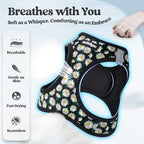 rabbitgoo Dog Harness Small Sized and Leash Set, Step-in Puppy Pet Vest | Light, Soft, Breathable Air Mesh, Easy on and Remove with Hook & Loop, Secure Reflective for Walking, Midnight Daisy XS