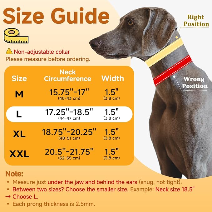 Mayerzon Martingale Dog No Pull Collar with Metal Buckle, Black, L, 2.5mm | Walking Training Collar for Medium Large Dogs German Shepherd, Boxer, Rottweiler that Pull, Reflective, 360° Swivel Ring
