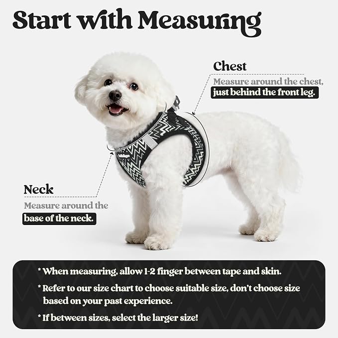 rabbitgoo Dog Harness Small Sized and Leash Set, Step-in Puppy Pet Vest | Light, Soft, Breathable Air Mesh, Easy on and Remove with Hook & Loop, Secure Reflective for Walking, Black Zigzag M