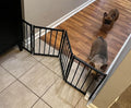 BFNN Small Dog Gate Indoor, Up to 48" W Freestanding Pet/Puppy Fence, Black | Flexible Space Control | Chewproof Steel Frame | 16.5" Step-Over Gate | Foldable | Drill-Free Setup | For Stairs & Doorways