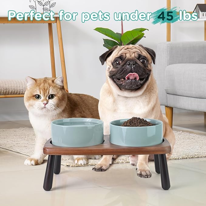 SPUNKYJUNKY Ceramic Elevated Dog Bowls Raised with Acacia Bamboo Wooden Stand, 6.1'' Dog Cat Food Water Bowls Set Non-Slip for Small Medium Sized Breed Microwave Dishwasher Safe - 28.7 OZ,Light Green