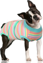 FUAMEY Recovery Suit for Dogs After Surgery,Soft Breathable Dog Bodysuit | E-Collar & Cone Alternative Surgical Suit,Male Female Dog Neuter Spay Suits Anti Licking Wounds Onesie Mint Green Stripes L