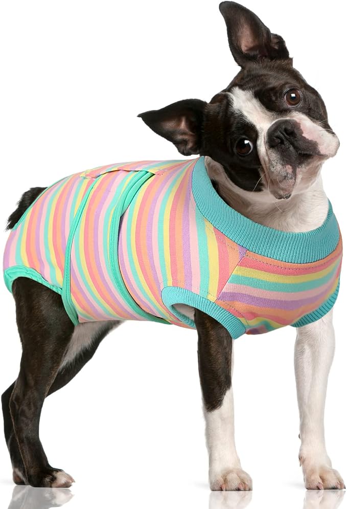 FUAMEY Recovery Suit for Dogs After Surgery,Soft Breathable Dog Bodysuit | E-Collar & Cone Alternative Surgical Suit,Male Female Dog Neuter Spay Suits Anti Licking Wounds Onesie Mint Green Stripes M