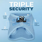 Best Pet Supplies Voyager Step-in Air All Weather Mesh Harness and Reflective Dog 5ft Leash Combo with Neoprene Handle, for Small, Medium and Large Breed Puppies - Baby Blue, Large