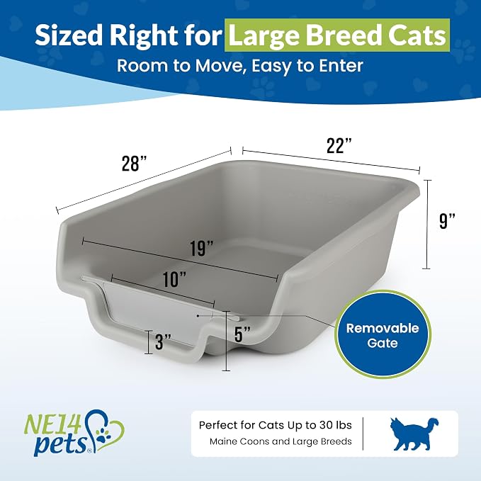 KittyGoHere Senior Cat Litter Box, Jumbo Litter pan, 2 Pack Misty Gray | Open Top Low Entrance Kitty Litter Box, Lightweight Low Entry Litters Box, Durable Design for Easy Cleaning, Made in USA