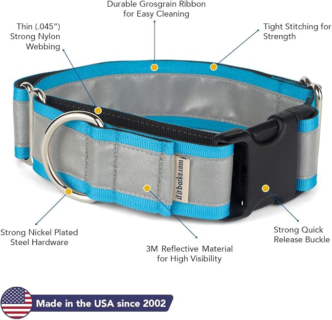 If It Barks - 1.5" Reflective Martingale Collar with Quick Snap Buckle for Dogs - Adjustable - Made in USA - Strong, Durable, and Comfy - Ideal for Training - Fits Most Breeds - Small, Turquoise