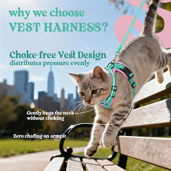 rabbitgoo Cat Harness and Leash Set, Escape Proof Vest, Green & Pink | Soft Breathable Mesh, Easy Adjustable Fit, Snap Buckles, Sturdy Clip, Reflective Strips, for Average Cats Walks, S