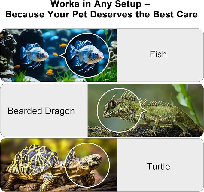 2K AI Reptile & Aquarium Camera with Wide-Angle Lens | 2.4G&5GHz WiFi, 24/7 Recording, Anti-Glare & No Reflection for Fish Tank Terrarium Lizard Snake Pet