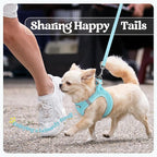 rabbitgoo Dog Harness Medium Sized and Leash Set, Step-in Puppy Pet Vest | Light, Soft, Breathable Air Mesh, Easy on and Remove with Hook & Loop, Secure Reflective for Walking, Mint Blue XXL