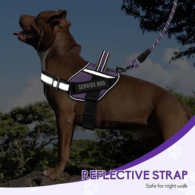 Service Dog Vest Harness and Leash Set, Animire in Training Dog Harness with 10 Dog Patches, Reflective Dog Leash with Soft Padded Handle for Small, Medium, Large, and Extra-Large Dogs (Purple, XL)