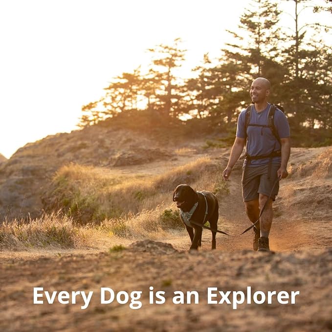 Ruffwear, Front Range Dog Harness, Reflective Soft Padded Everyday Harness with Dual Leash Clips, Adjustable and Lightweight Fit for Training or Walking for All Dogs, Pink Mountains, XX-Small