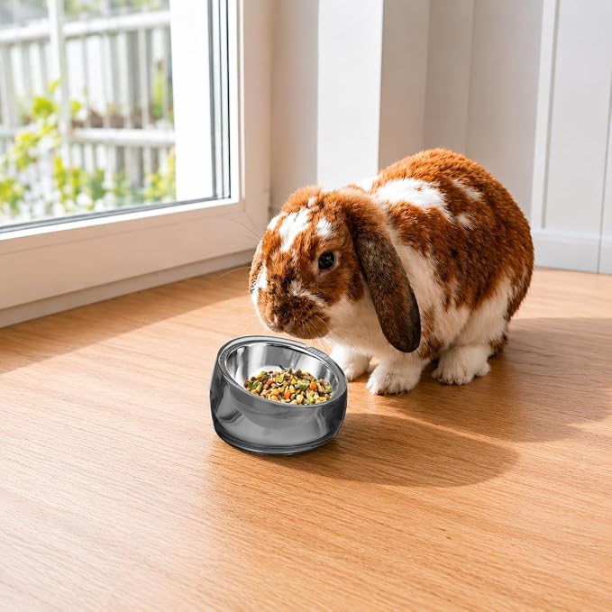 Felli Oblik 15° Tilted Small Animal Bowls for Pet Food & Water 6 oz Stainless Steel Dish Removable, Slanted Metal Plate Feeder for Kitten Puppy Rabbit Bunny Guinchilla Pig (0.75 Cups, Smoky)