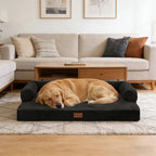 Orthopedic Washable Dog Bed for Extra Large Dogs, 45x35in, Black | Orthopedic Foam Relieves Joint Pressure, Bolsters Supports Head And Neck, Washable Cover, Non-Slip Bottom