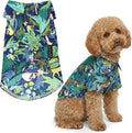 Parisian Pet Amazonia Dog Shirt - Cotton Clothes for Large Dogs - Stylish Tropical Dog Outfit - Lightweight and Soft Puppy Clothes - Trendy Tshirts for Dogs - Comfortable Summer Pet Apparel