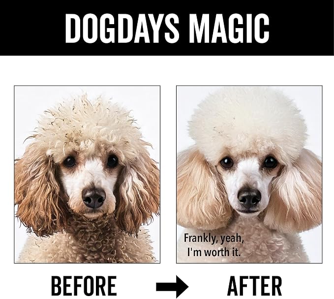 Pride and Groom DogDays Curly + Wavy Grooming Shampoo | Tearless, All-Natural Shampoo for No and Low Shedding Dogs | Moisturizing Formula for Soft, Shiny, & Healthy Fur – 16 oz