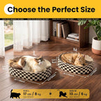 Conlun Oval Cat Scratcher Bed Bowl Lounge for Kittens | Medium | 2 Pack | Ideal for Multi-Cat Households | Concave Cardboard Pad | No Mess Enclosed Base | Couch Furniture Protector